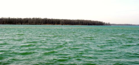 Navy Island